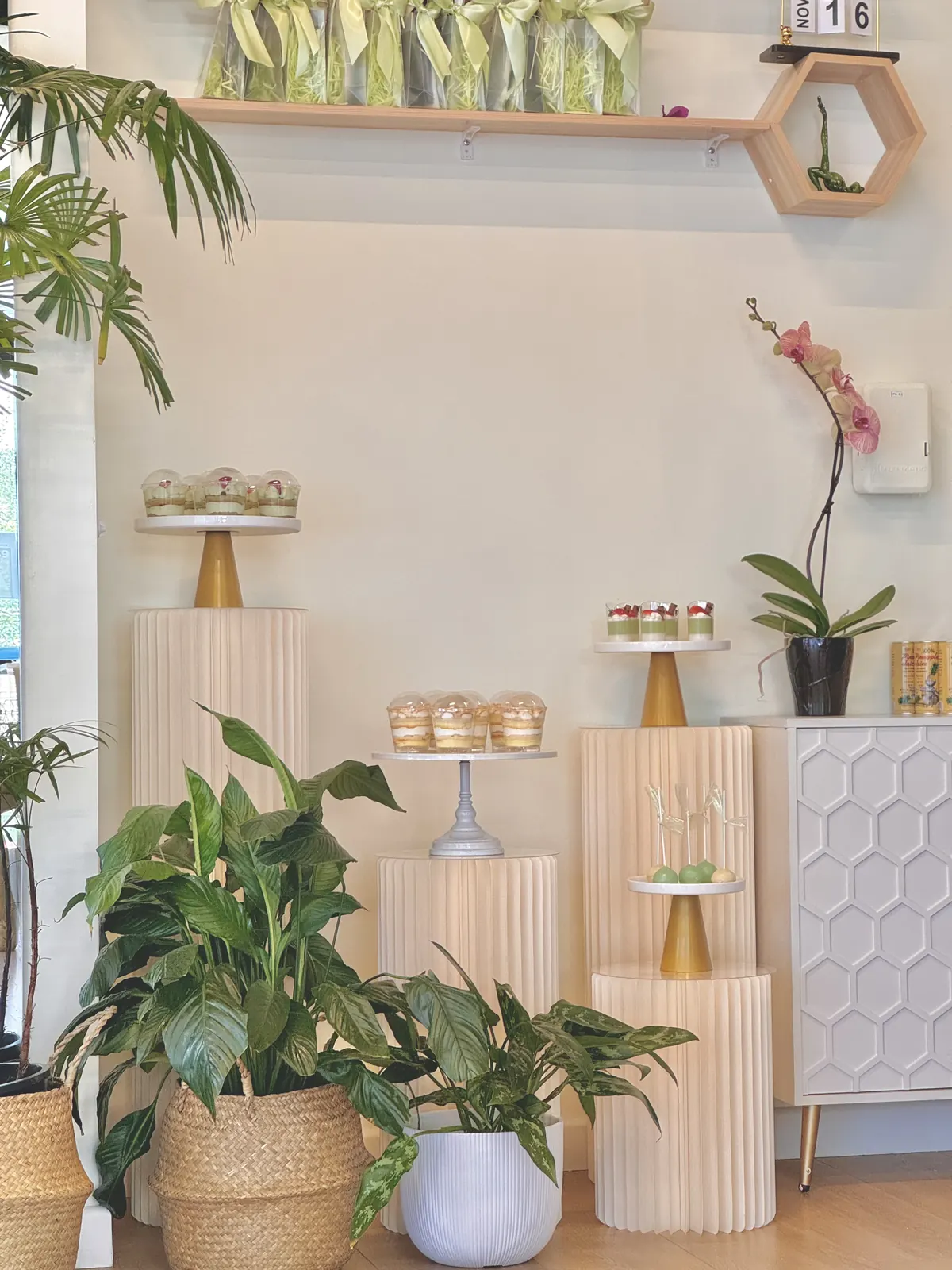Minimal dessert display on wooden pedestals among plants